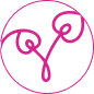 Paraben Free